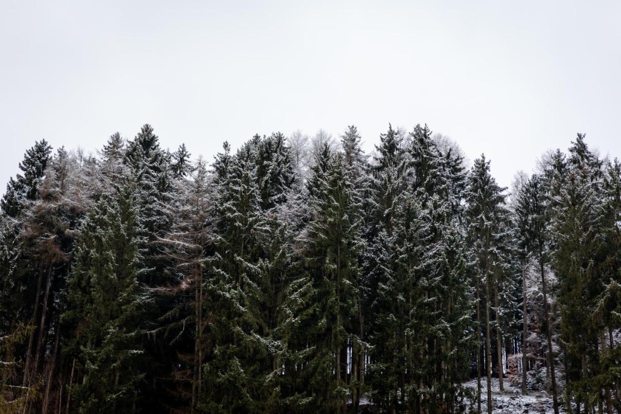Hotel Tiefenhagen Sauerland لينهشتات المظهر الخارجي الصورة